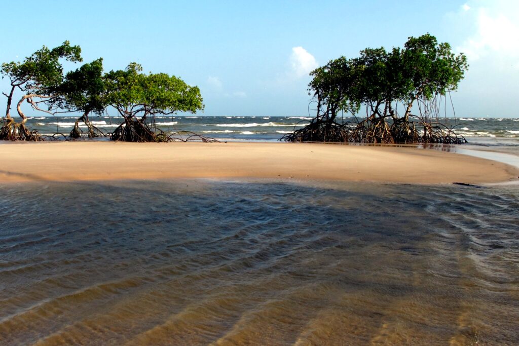 <b>Ilha do Marajó</b><br>A maior ilha fluvial do mundo tem sítios arqueológicos, cerâmica marajoara e um ambiente bem rústico. É banhada pelo Oceano Atlântico e pelos rios Amazonas e Tocantins. 
